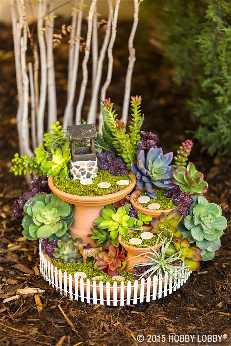 How To Make Your Succulent Backyard Garden Look Stylish? Succulent Garden; Succulent Backyard; Home Decor; Garden Decor; Garden; Backyard Decor; Succulent Decor; #succulent #succulentgarden #backyarddecor #homedecor #garden