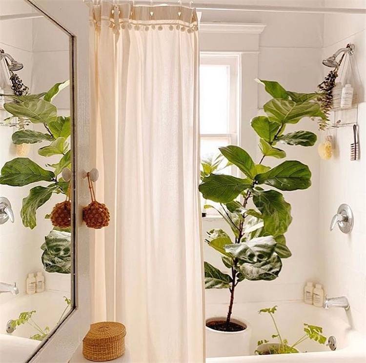 Indoor Plants Decoration Ideas To Make Your House Stunning; hanging plants; Indoor Plants decor; hanging plants decor; home decor; plants decor; wall hanging plants; plants decor; #homedecor #plantsdecor #hangingplants #indoorplants #indoorplantsdecor #hangingplantsdecor