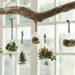 Gorgeous And Simple Indoor Hanging Plants Ideas For Your Sweet Home;  hanging plants; Indoor Plants decor; hanging plants decor; home decor; plants decor; wall hanging plants; plants decor; #homedecor #plantsdecor #hangingplants #indoorplants #indoorplantsdecor #hangingplantsdecor