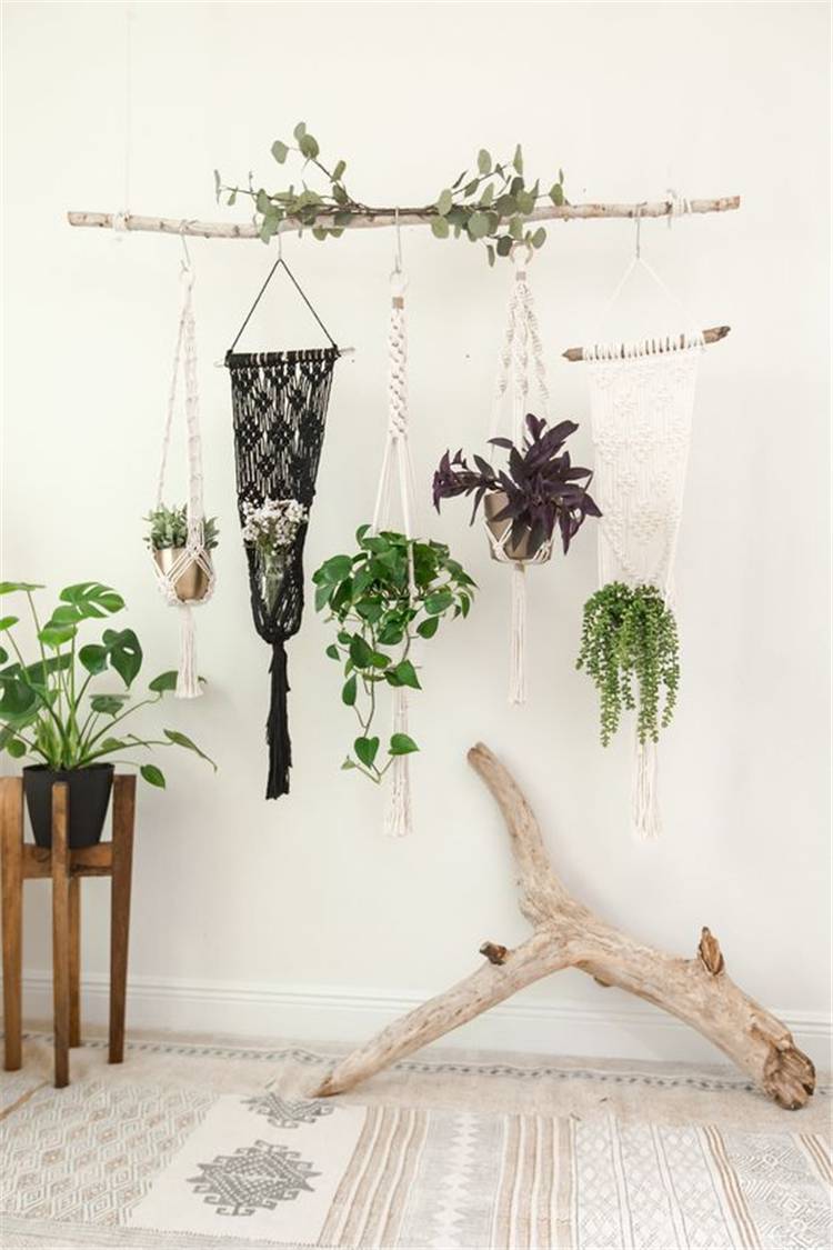 Gorgeous And Simple Indoor Hanging Plants Ideas For Your Sweet Home;  hanging plants; Indoor Plants decor; hanging plants decor; home decor; plants decor; wall hanging plants; plants decor; #homedecor #plantsdecor #hangingplants #indoorplants #indoorplantsdecor #hangingplantsdecor