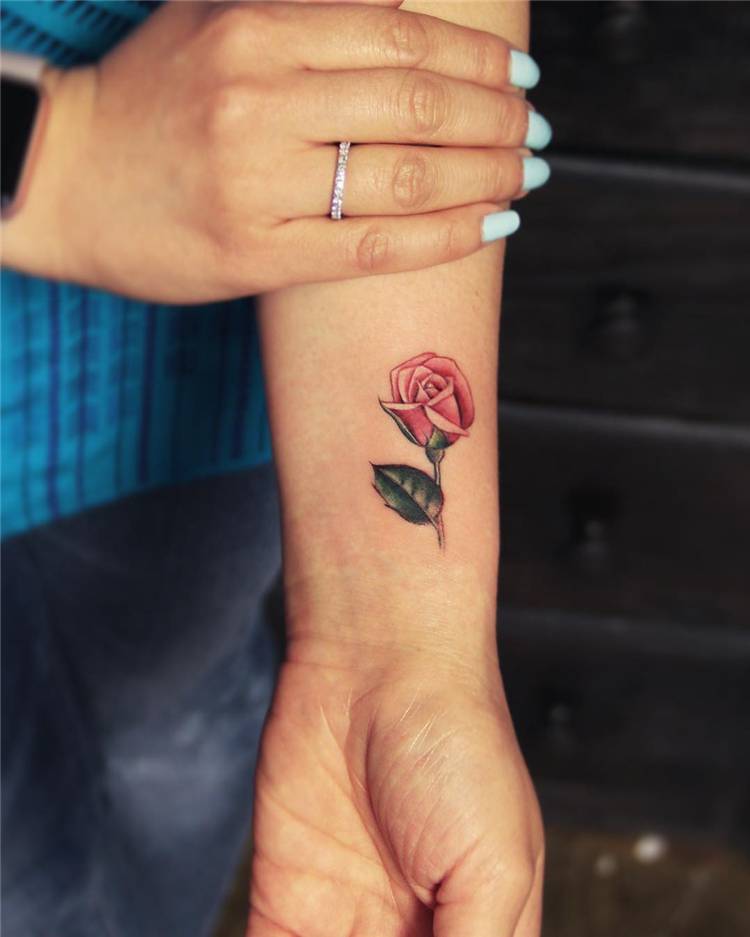 Pretty Rose Tattoo Ideas For Women To Copy 2020; Rose Tattoo; Tattoo; Finger Rose Tattoo; Back Rose Tattoo; Small Rose Tattoo; Ankle Rose Tattoo; Leg Rose Tattoo; Arm Rose Tattoo; Shoulder Rose Tattoo; Sleeve Rose Tattoo; #rosetattoo #tattoo #smallrosetattoo #fingerrosetattoo #backrosetattoo #shouldrosetattoo