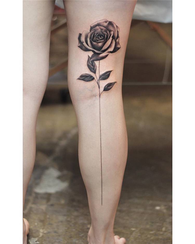 Pretty Rose Tattoo Ideas For Women To Copy 2020; Rose Tattoo; Tattoo; Finger Rose Tattoo; Back Rose Tattoo; Small Rose Tattoo; Ankle Rose Tattoo; Leg Rose Tattoo; Arm Rose Tattoo; Shoulder Rose Tattoo; Sleeve Rose Tattoo; #rosetattoo #tattoo #smallrosetattoo #fingerrosetattoo #backrosetattoo #shouldrosetattoo