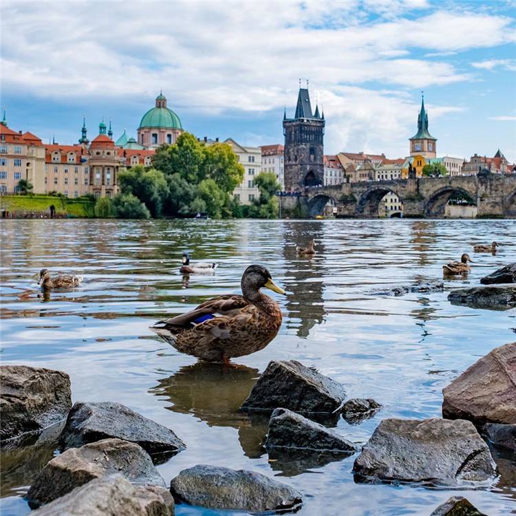 Most Instagrammable Spots In Prague You Can't Miss; Prague; Travel Guide; Prague Travelling; Instagrammable Spots In Prague; Prague Guide; Charles Bridge; Prague Castle; Old Town Hall; Church; #prague #pragueguide #travelinprague #charlesbridge #praguecastle #church #oldtownhall