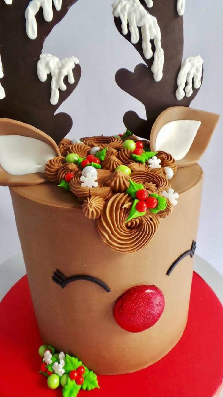 Pretty And Adorable Christmas Cakes You Love To Have; Christmas Cake; Christmas; Christmas Holiday; Pretty Cake; Holiday Cake; Cake; Winter Cake; Berry Christmas Cake; #christmas #christmascake #christmasberrycake #cake #wintercake #holidaycake #prettycake