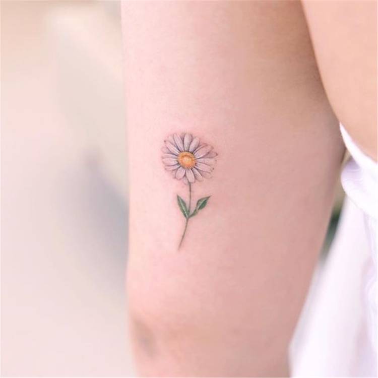 Spring Floral Tattoo Designs To Make You Beautiful; Floral Tattoo; Tattoo Design; Tattoo; Spring Floral Tattoo; Tulip Tattoo; Rose Tattoo; Daisy Tattoo; Flower Tattoo; Arm Tattoo; Finger Tattoo #tattoo #tattoodesign #floraltattoo #rosetattoo #tuliptattoo #daisytattoo #armtattoo #fingertattoo #watercolortattoo #springflower #springflowertattoo