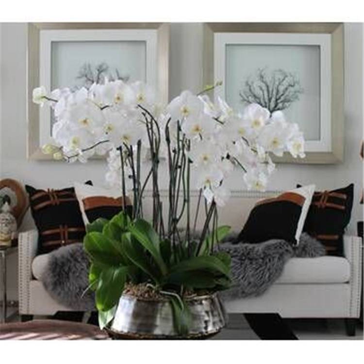 Spring Living Room Decoration Ideas With Flowers; Home Decor; Living Room Decor; Living Room; Spring Living Room; Spring Home Decor; Flower Home Decor; Cozy Living Room; Spring Flowers; #homedecor #springhomedecor #livingroom #springlivingroom #livingroomdecor #florallivingroom #springflowers