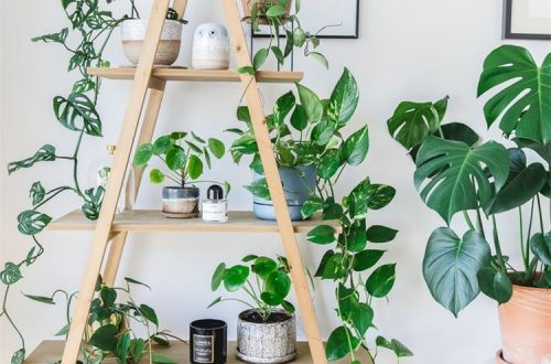 Exclusive Plant Stand Ideas To Make Your Home Glam; Home Decor; Home Design; Plant Stand; Plant Stand Ideas; Plant Ideas; Plant Home Decor #homedecor #plantstand #plantstandideas #homedesign #planthomedecor #plantideas #plantstanddesign