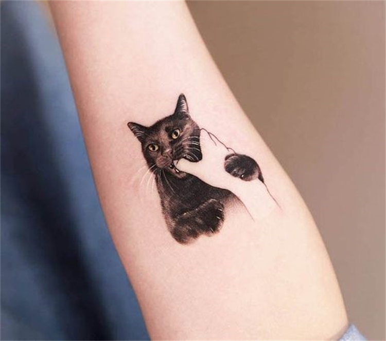 Cute And Cool Cat Tattoo Designs To Melt Your Heart; Cat Tattoo; Tattoo; Tattoo Design; Cute Tattoo; Finger Cat Tattoo; Ankle Cat Tattoo; Arm Cat Tattoo; Back Cat Tattoo; #cat #cattattoo #tattoo #tattoodesign #anklecattattoo #armcattattoo #backcattattoo #fingercattattoo