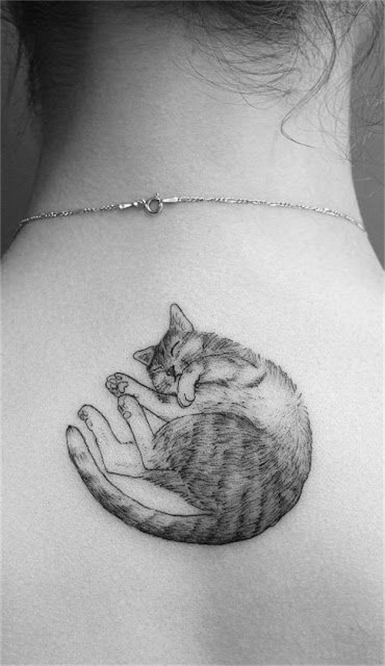 Cute And Cool Cat Tattoo Designs To Melt Your Heart; Cat Tattoo; Tattoo; Tattoo Design; Cute Tattoo; Finger Cat Tattoo; Ankle Cat Tattoo; Arm Cat Tattoo; Back Cat Tattoo; #cat #cattattoo #tattoo #tattoodesign #anklecattattoo #armcattattoo #backcattattoo #fingercattattoo