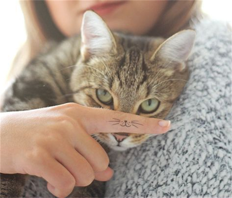 Cute And Cool Cat Tattoo Designs To Melt Your Heart; Cat Tattoo; Tattoo; Tattoo Design; Cute Tattoo; Finger Cat Tattoo; Ankle Cat Tattoo; Arm Cat Tattoo; Back Cat Tattoo; #cat #cattattoo #tattoo #tattoodesign #anklecattattoo #armcattattoo #backcattattoo #fingercattattoo
